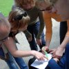 2010-05-01_00008