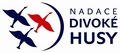 logo_divoke_husy-web